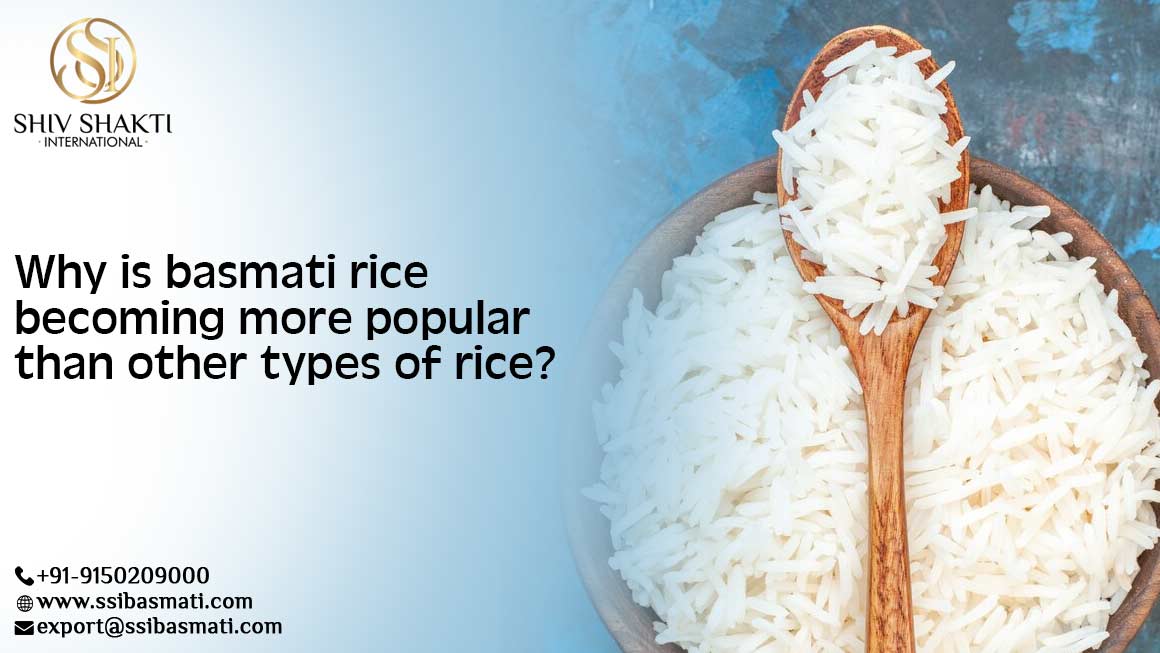 Why is Basmati Rice Becoming More Popular than Other Types of Rice?